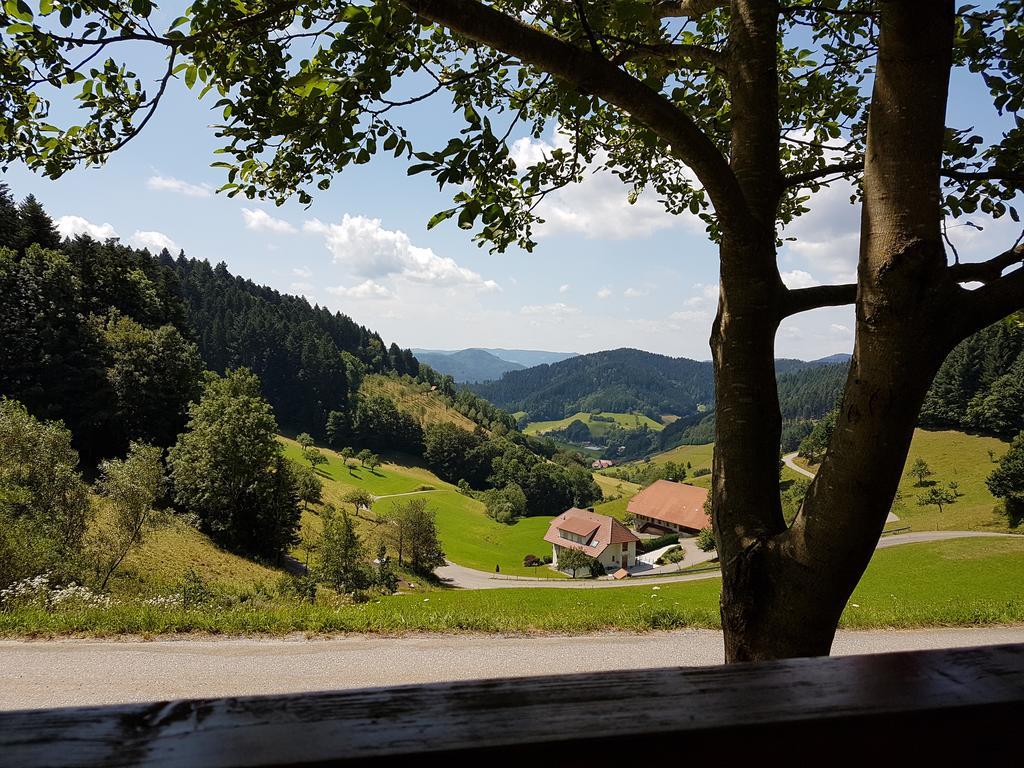 Hotel 3 Koenige Oberwolfach Exterior foto